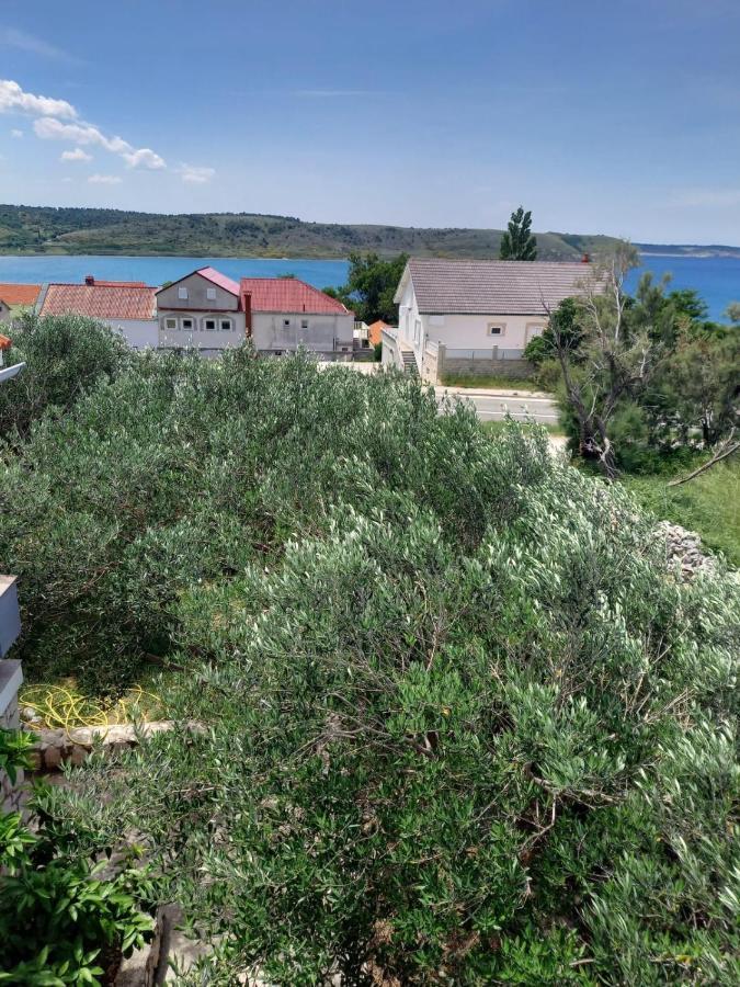 Apartmani Branka Rtina Exterior foto